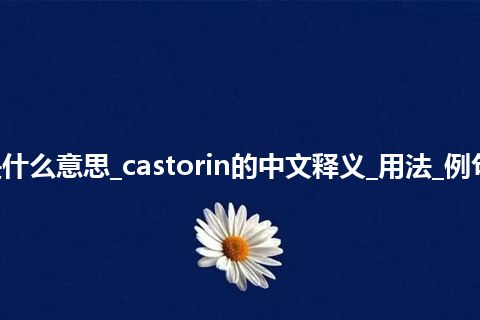 castorin是什么意思_castorin的中文释义_用法_例句_英语短语