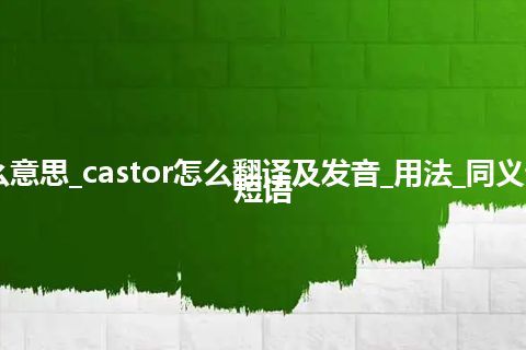 castor是什么意思_castor怎么翻译及发音_用法_同义词_例句_英语短语