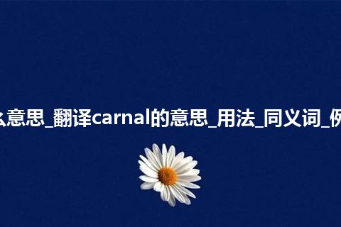 carnal是什么意思_翻译carnal的意思_用法_同义词_例句_英语短语