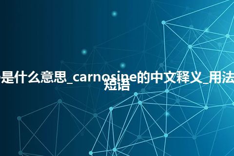 carnosine是什么意思_carnosine的中文释义_用法_例句_英语短语