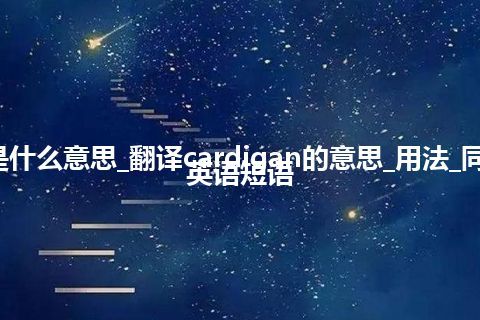 cardigan是什么意思_翻译cardigan的意思_用法_同义词_例句_英语短语