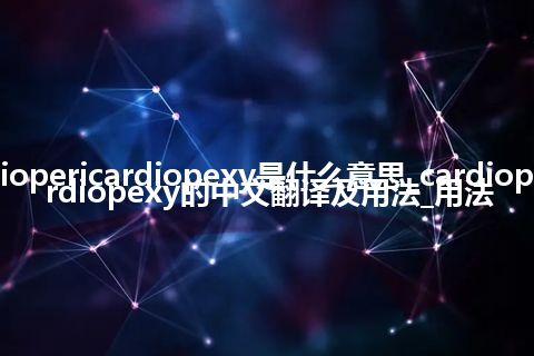 cardiopericardiopexy是什么意思_cardiopericardiopexy的中文翻译及用法_用法