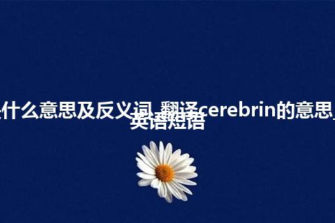 cerebrin是什么意思及反义词_翻译cerebrin的意思_用法_例句_英语短语