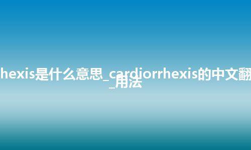 cardiorrhexis是什么意思_cardiorrhexis的中文翻译及用法_用法