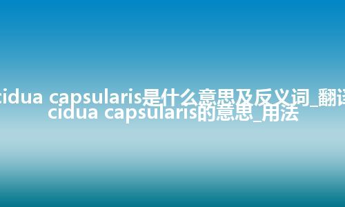 decidua capsularis是什么意思及反义词_翻译decidua capsularis的意思_用法