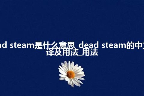 dead steam是什么意思_dead steam的中文翻译及用法_用法