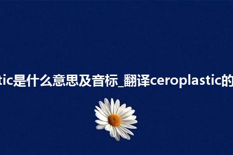 ceroplastic是什么意思及音标_翻译ceroplastic的意思_用法