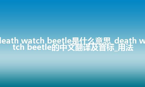 death watch beetle是什么意思_death watch beetle的中文翻译及音标_用法