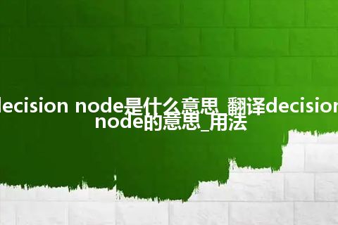 decision node是什么意思_翻译decision node的意思_用法