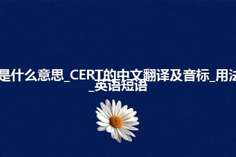 CERT是什么意思_CERT的中文翻译及音标_用法_例句_英语短语