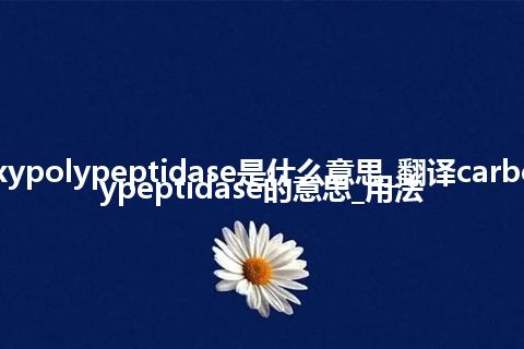 carboxypolypeptidase是什么意思_翻译carboxypolypeptidase的意思_用法