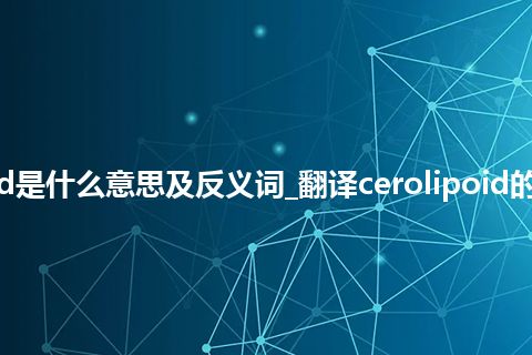 cerolipoid是什么意思及反义词_翻译cerolipoid的意思_用法