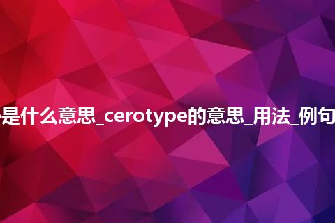 cerotype是什么意思_cerotype的意思_用法_例句_英语短语