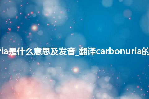 carbonuria是什么意思及发音_翻译carbonuria的意思_用法