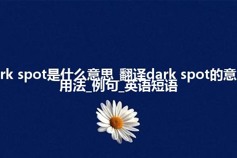 dark spot是什么意思_翻译dark spot的意思_用法_例句_英语短语