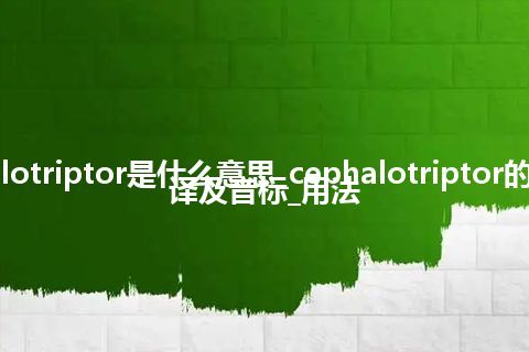 cephalotriptor是什么意思_cephalotriptor的中文翻译及音标_用法