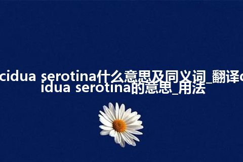 decidua serotina什么意思及同义词_翻译decidua serotina的意思_用法