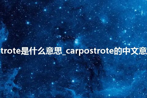 carpostrote是什么意思_carpostrote的中文意思_用法