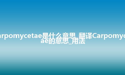 Carpomycetae是什么意思_翻译Carpomycetae的意思_用法