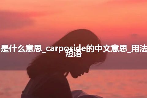 carposide是什么意思_carposide的中文意思_用法_例句_英语短语