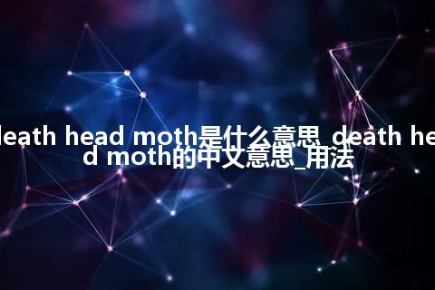 death head moth是什么意思_death head moth的中文意思_用法