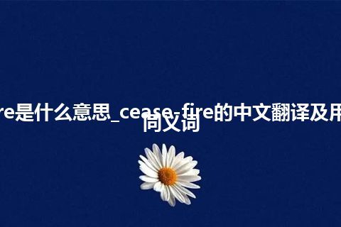 cease-fire是什么意思_cease-fire的中文翻译及用法_用法_同义词