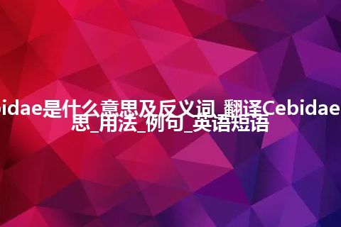 Cebidae是什么意思及反义词_翻译Cebidae的意思_用法_例句_英语短语