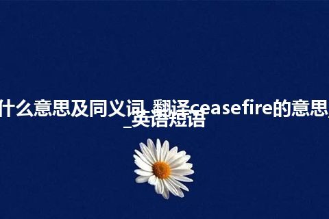 ceasefire什么意思及同义词_翻译ceasefire的意思_用法_例句_英语短语