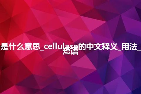 cellulase是什么意思_cellulase的中文释义_用法_例句_英语短语