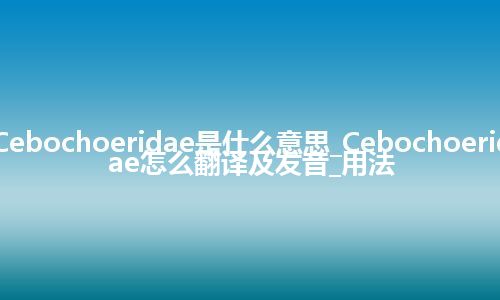 Cebochoeridae是什么意思_Cebochoeridae怎么翻译及发音_用法