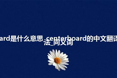 centerboard是什么意思_centerboard的中文翻译及用法_用法_同义词