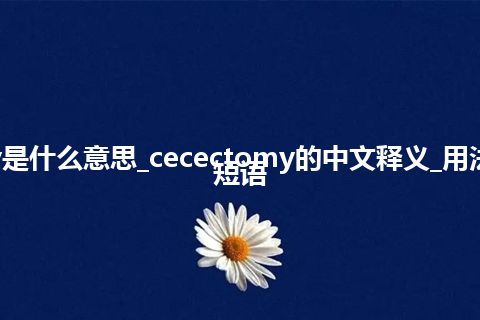 cecectomy是什么意思_cecectomy的中文释义_用法_例句_英语短语