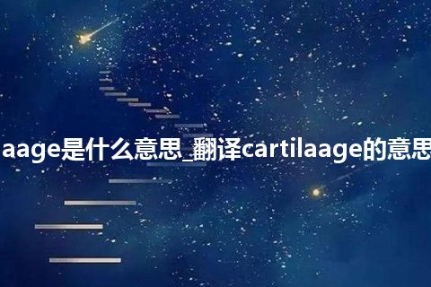 cartilaage是什么意思_翻译cartilaage的意思_用法