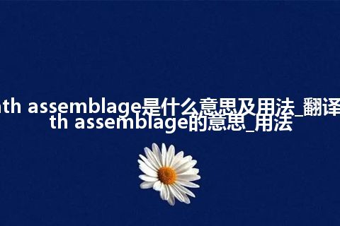 death assemblage是什么意思及用法_翻译death assemblage的意思_用法