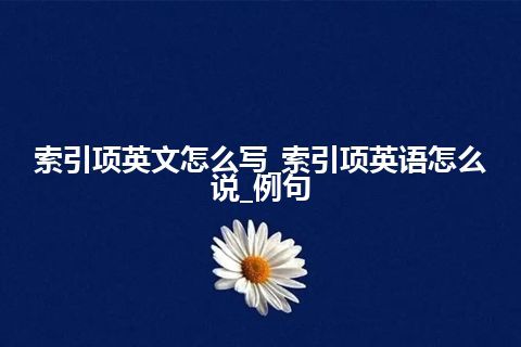 索引项英文怎么写_索引项英语怎么说_例句