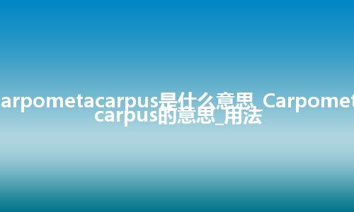 Carpometacarpus是什么意思_Carpometacarpus的意思_用法