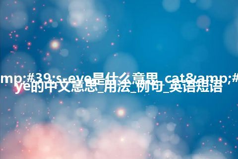 cat's-eye是什么意思_cat's-eye的中文意思_用法_例句_英语短语