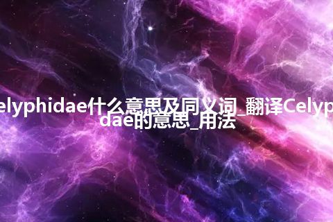 Celyphidae什么意思及同义词_翻译Celyphidae的意思_用法