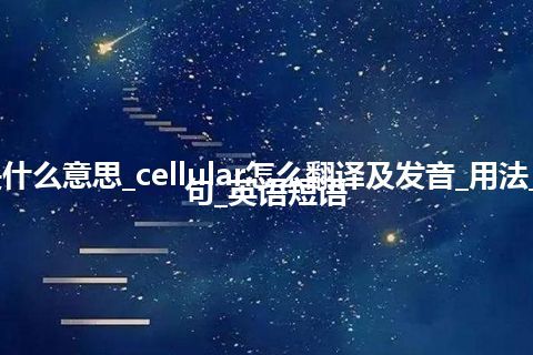 cellular是什么意思_cellular怎么翻译及发音_用法_反义词_例句_英语短语