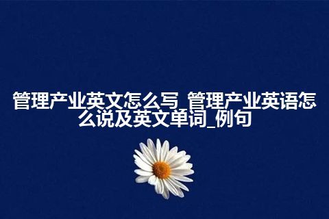 管理产业英文怎么写_管理产业英语怎么说及英文单词_例句