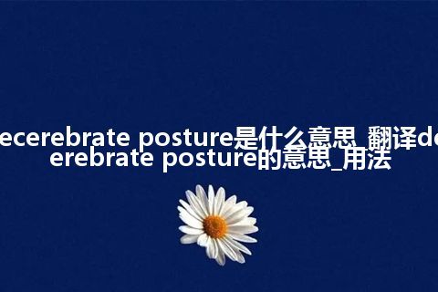 decerebrate posture是什么意思_翻译decerebrate posture的意思_用法