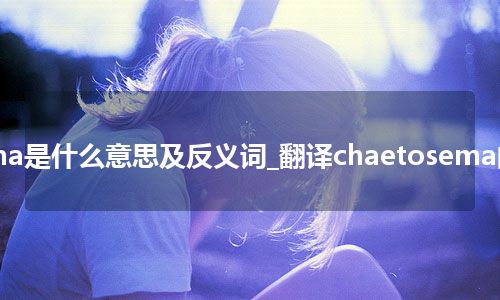 chaetosema是什么意思及反义词_翻译chaetosema的意思_用法