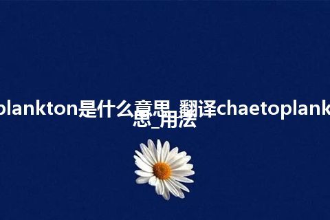 chaetoplankton是什么意思_翻译chaetoplankton的意思_用法