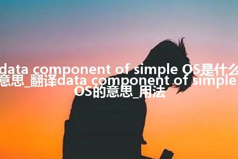 data component of simple OS是什么意思_翻译data component of simple OS的意思_用法