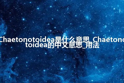 Chaetonotoidea是什么意思_Chaetonotoidea的中文意思_用法