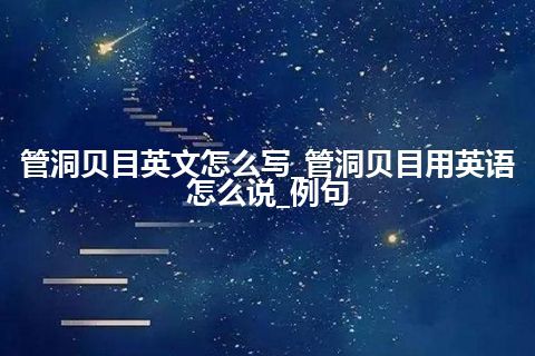 管洞贝目英文怎么写_管洞贝目用英语怎么说_例句