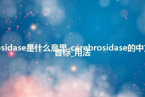 cerebrosidase是什么意思_cerebrosidase的中文翻译及音标_用法