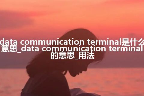 data communication terminal是什么意思_data communication terminal的意思_用法