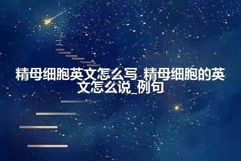 精母细胞英文怎么写_精母细胞的英文怎么说_例句