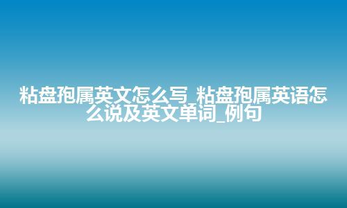 粘盘孢属英文怎么写_粘盘孢属英语怎么说及英文单词_例句